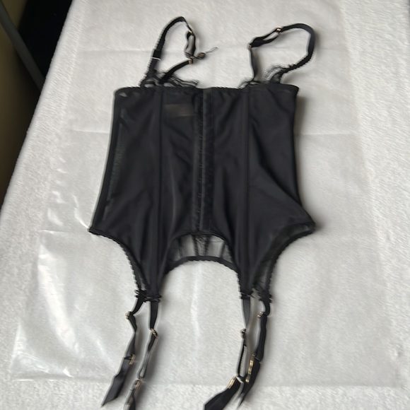 Dita Von Teese Muse Bustiere - Picture 13 of 16